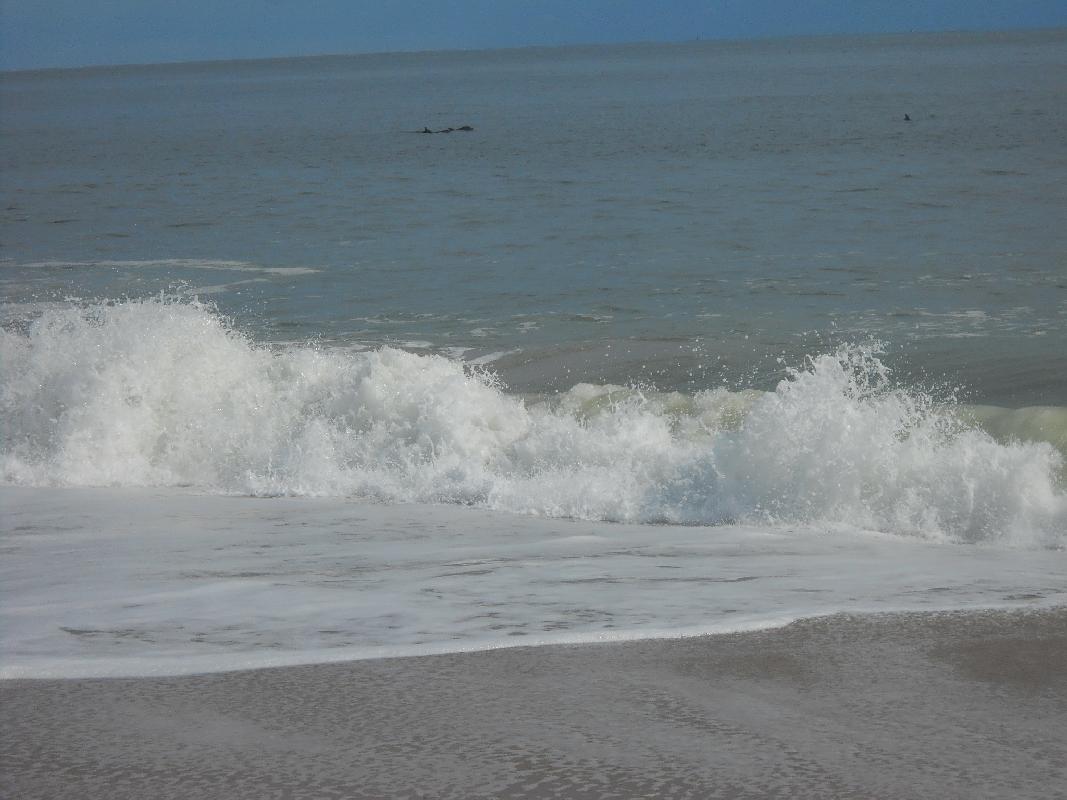 Delaware - Rehoboth Beach