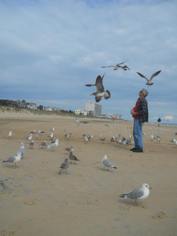 Delaware - Rehoboth Beach