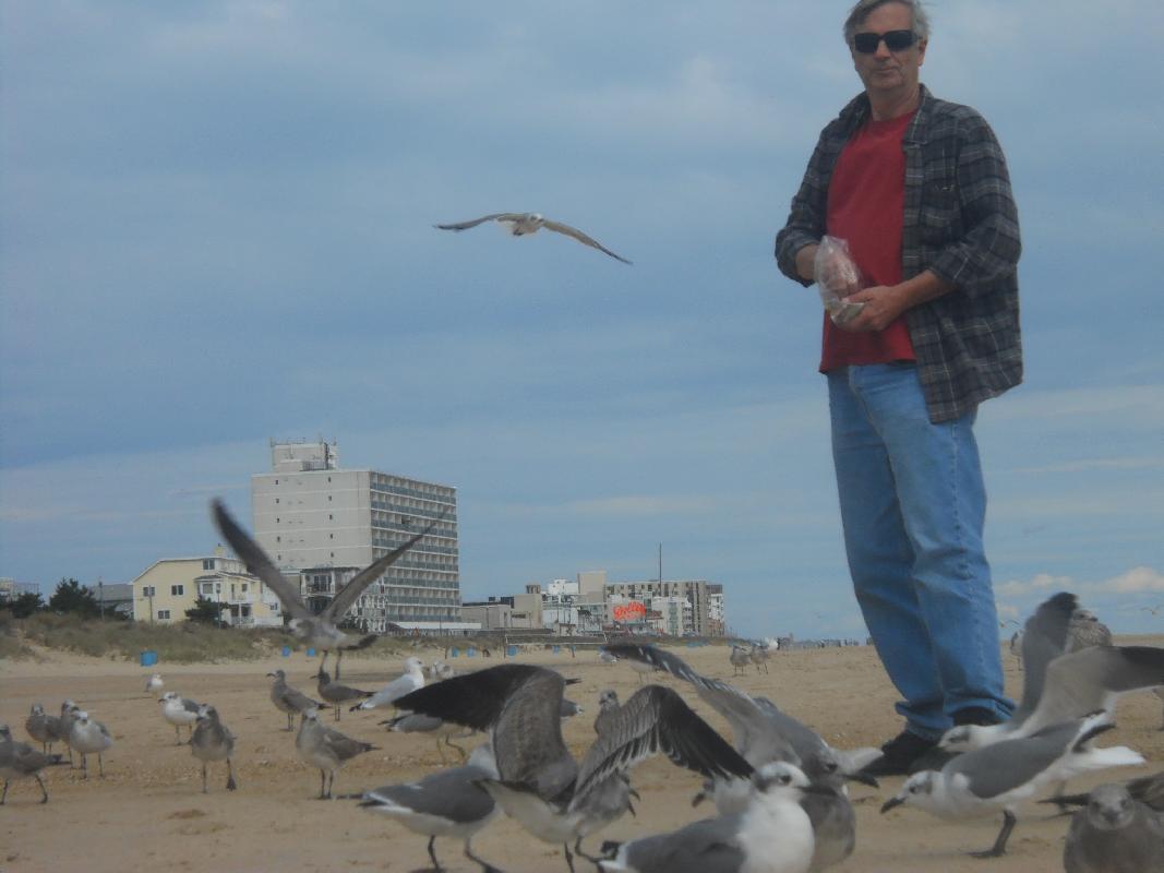 Delaware - Rehoboth Beach