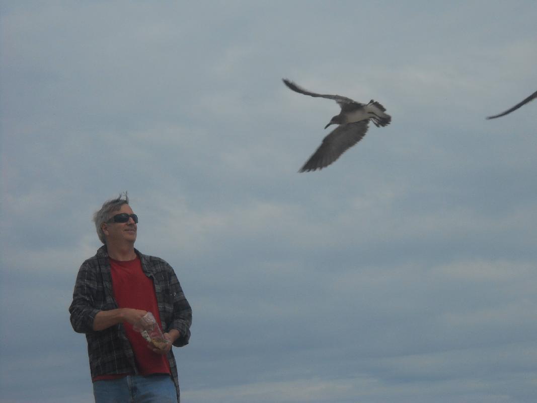 Delaware - Rehoboth Beach