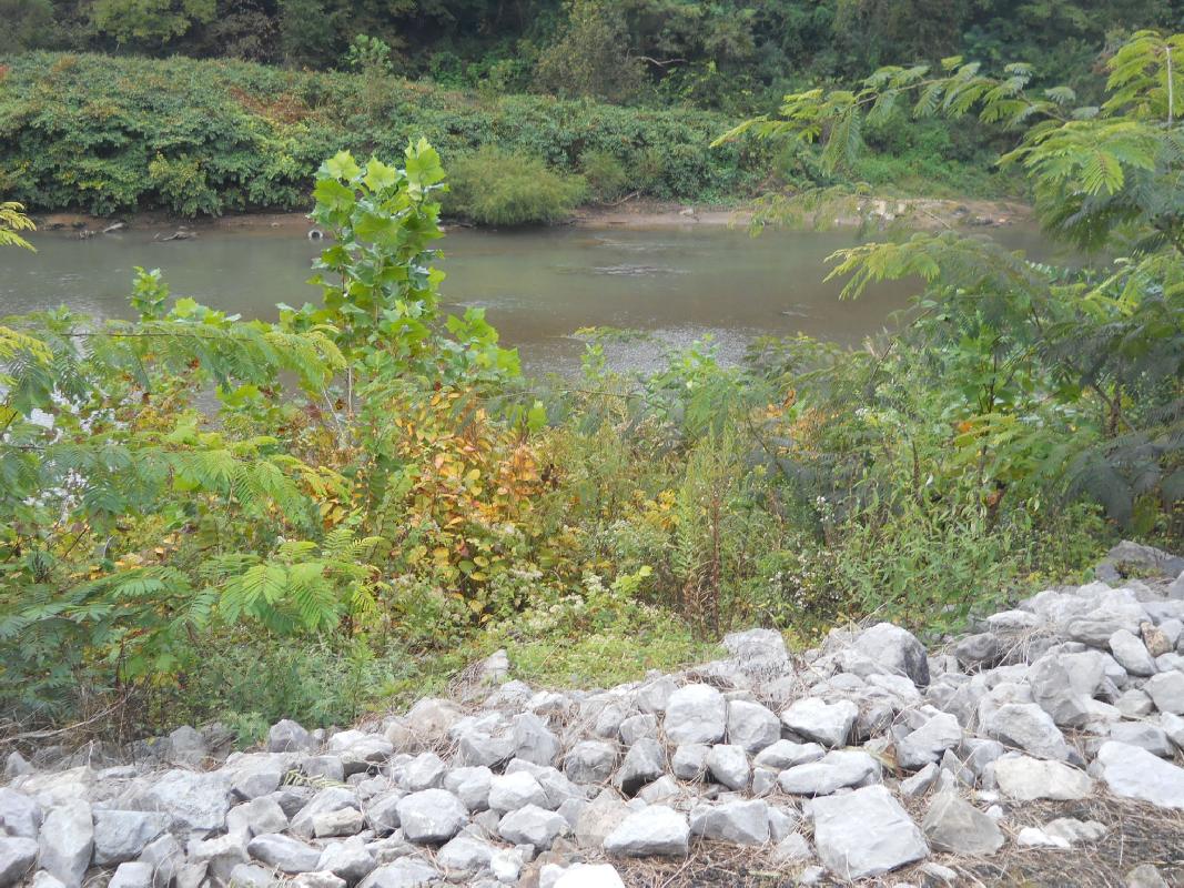 West Virginia - Matewan - Kentucky River
