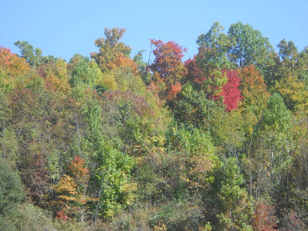 Virginia to North Carolina south