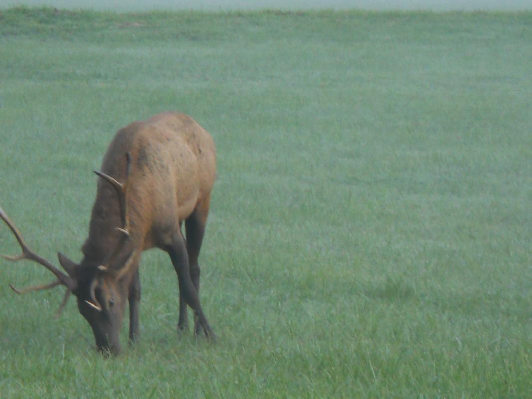 North Carolina - Great Smokies NationalPark