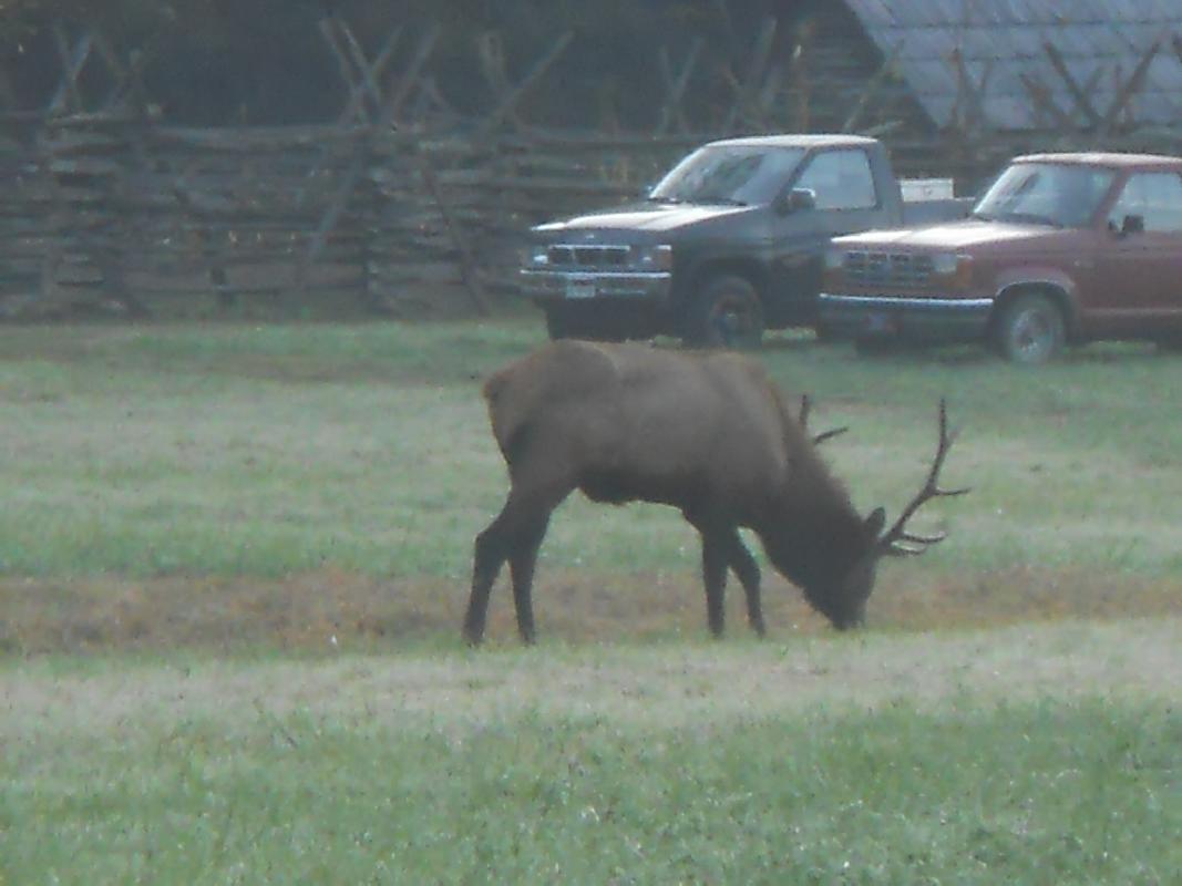 North Carolina - Great Smokies NationalPark
