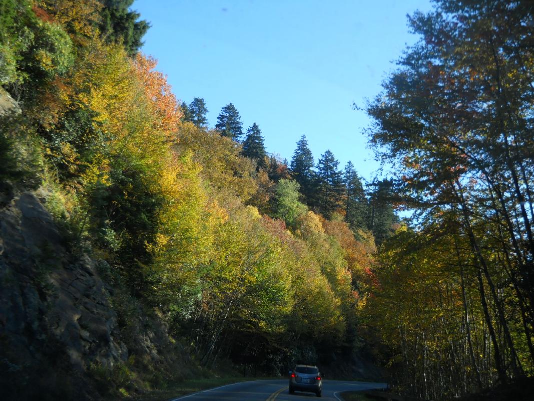 North Carolina - Great Smokies NationalPark