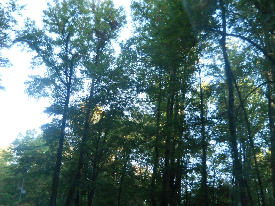 North Carolina - Great Smokies NationalPark