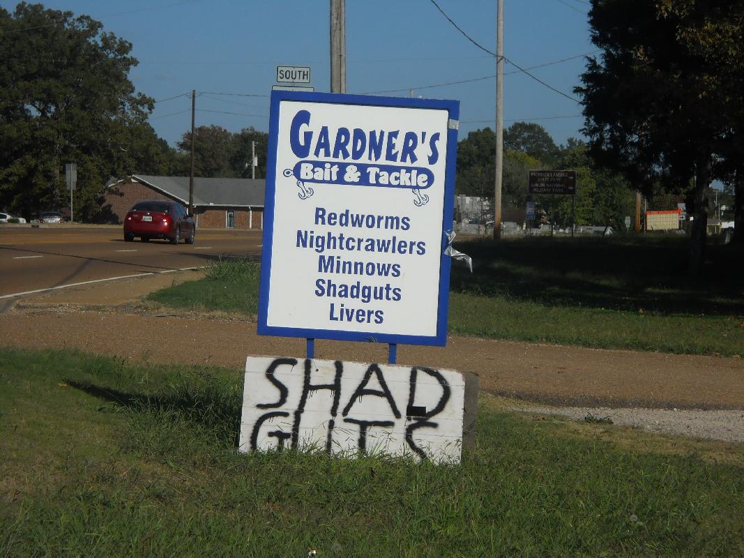 Tennessee - The Battle of Shiloh