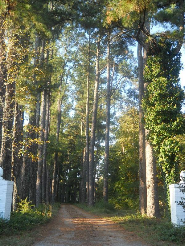 West Tennessee Driveway