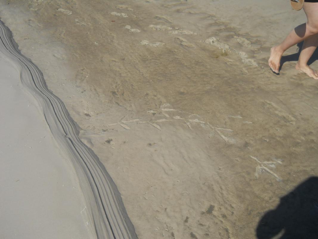 Mississippi - Gulf Coast