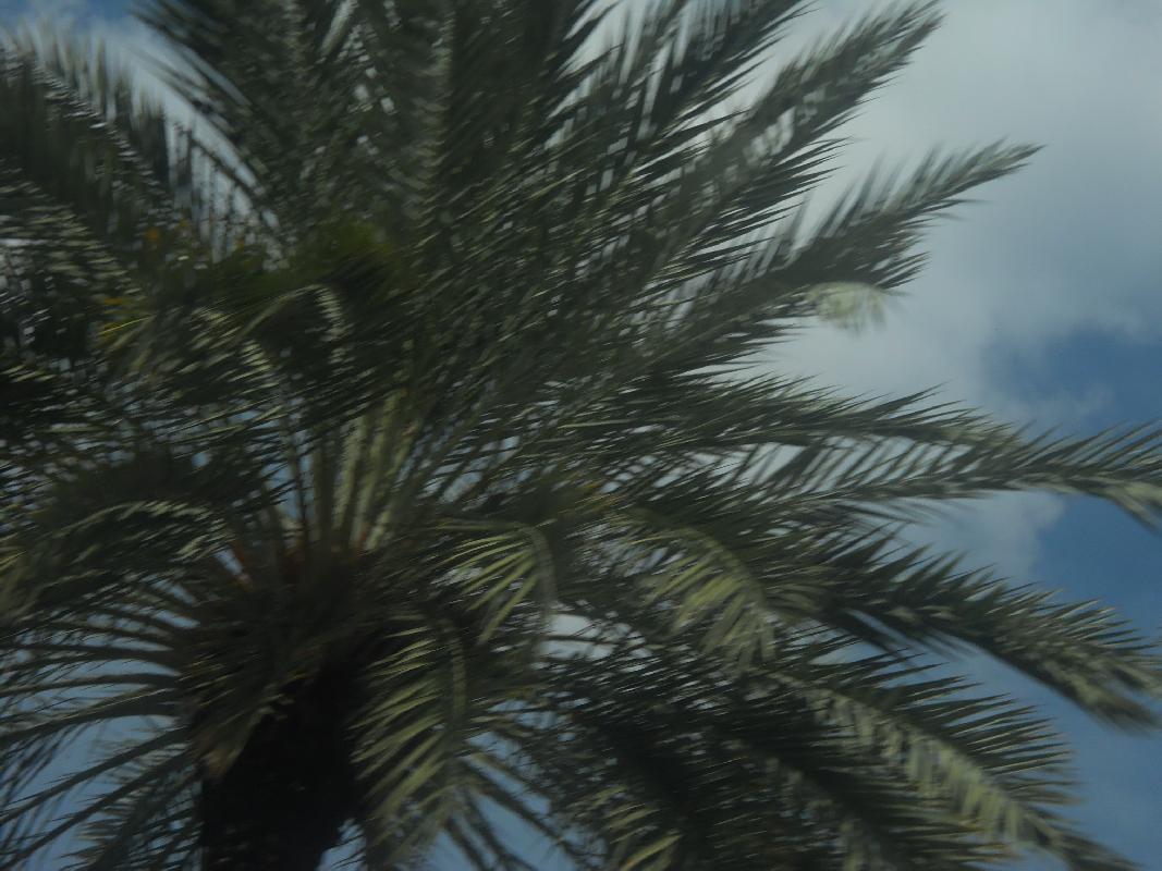 Louisiana - New Orleans