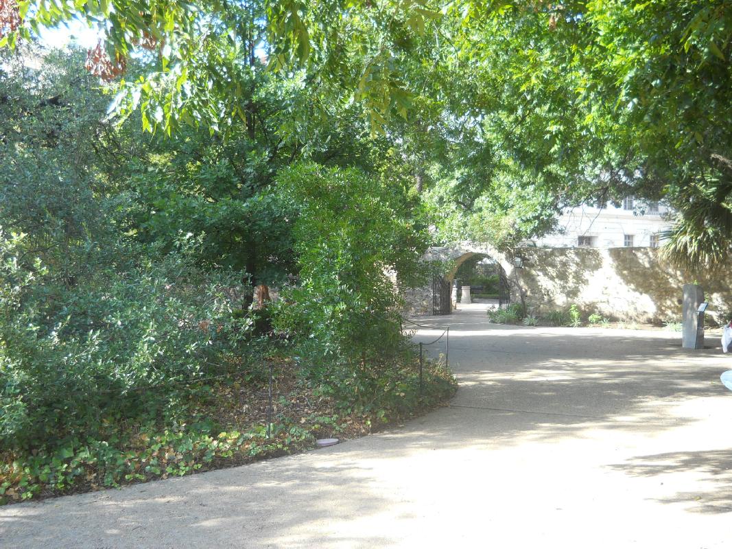 Texas - San Antonio - The Alamo