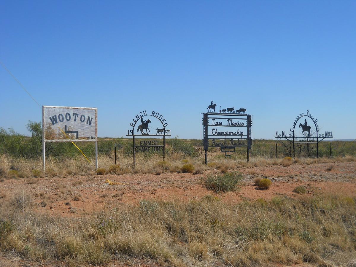New Mexico - near Ft. Sumner