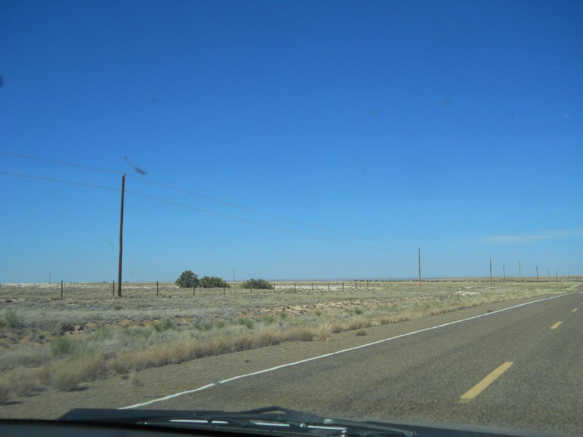 New Mexico - near Ft. Sumner