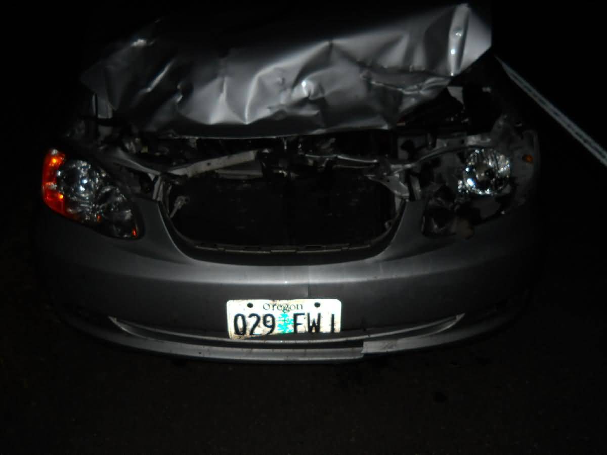 Colorado - Lamar - Deer Country