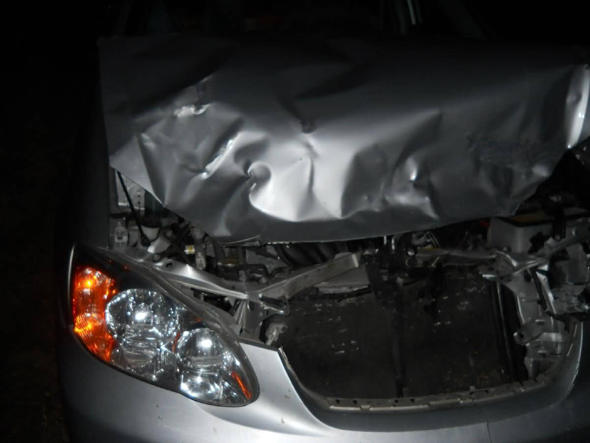 Colorado - Lamar - Deer Country