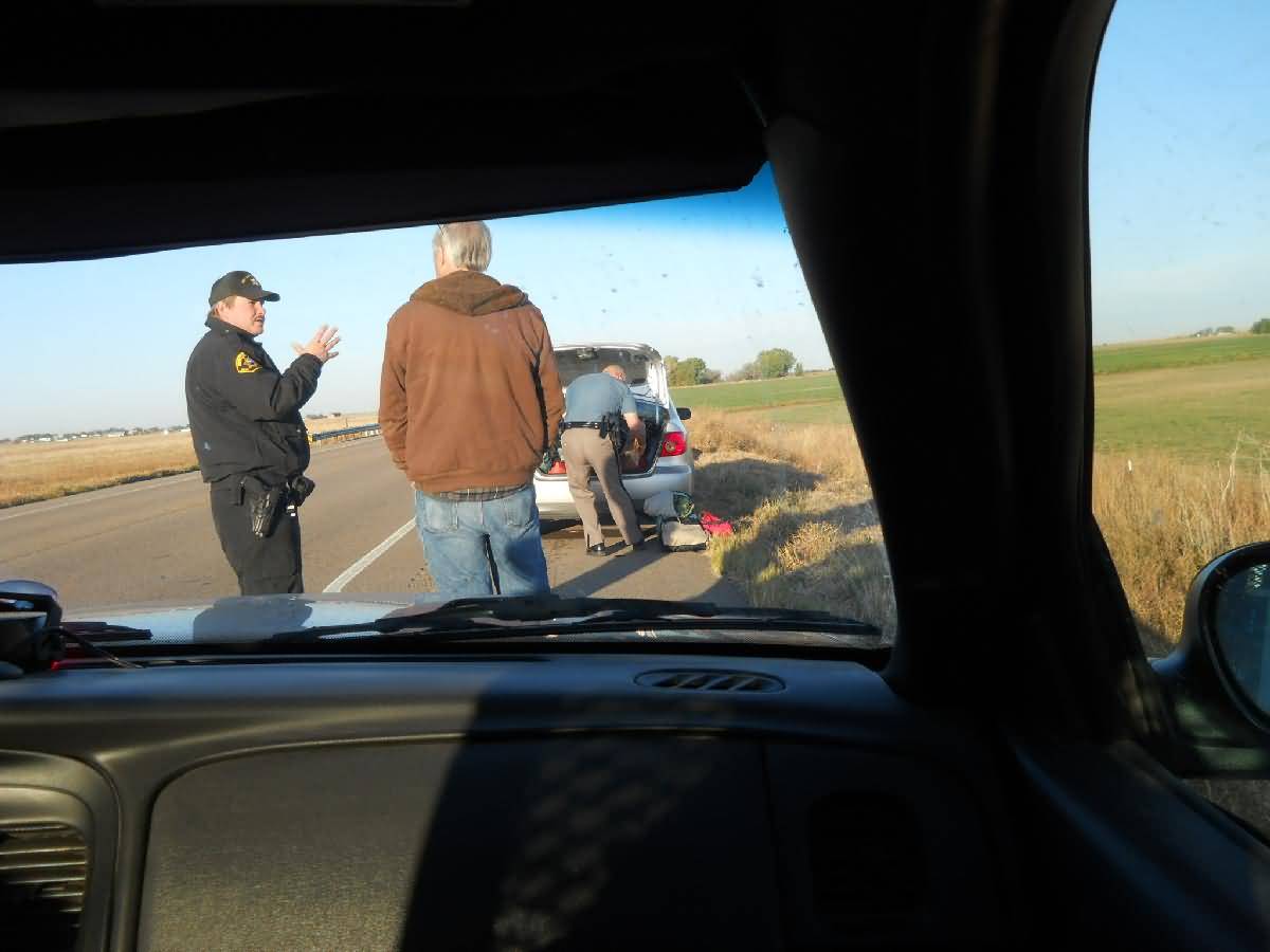 Colorado - Lamar - Deer Country