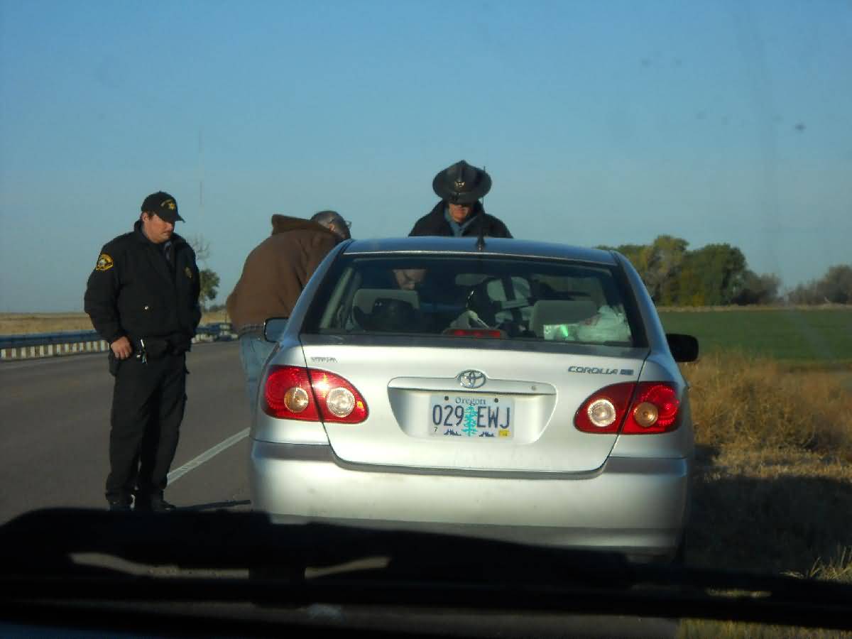 Colorado - Lamar - Deer Country