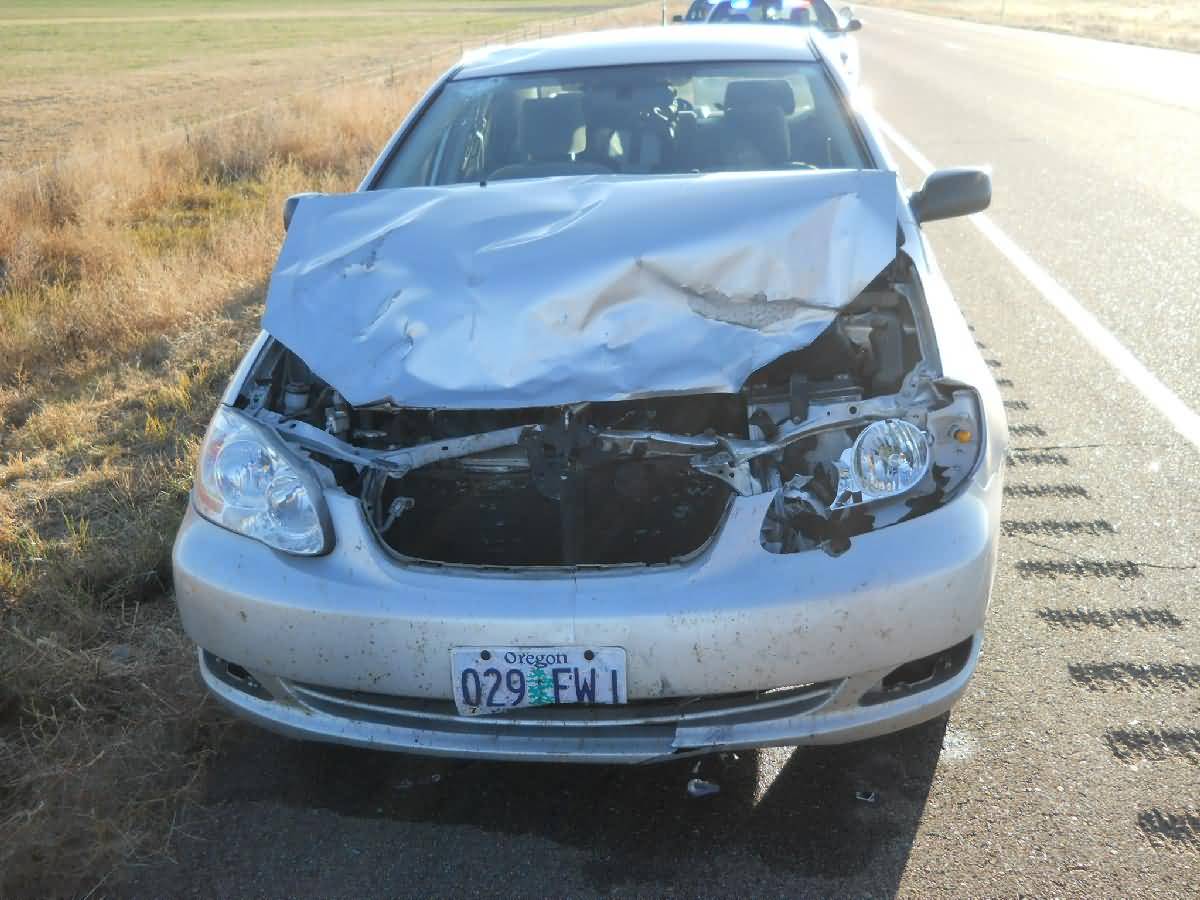 Colorado - Lamar - Deer Country