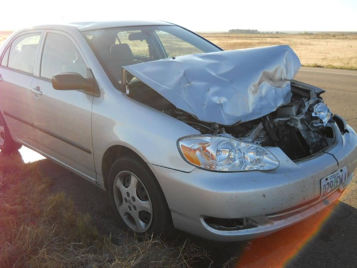 Colorado - Lamar - Deer Country