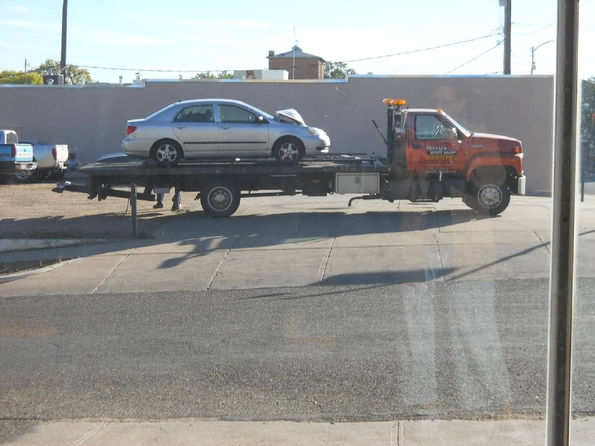 Colorado - La Junta - Deer Country