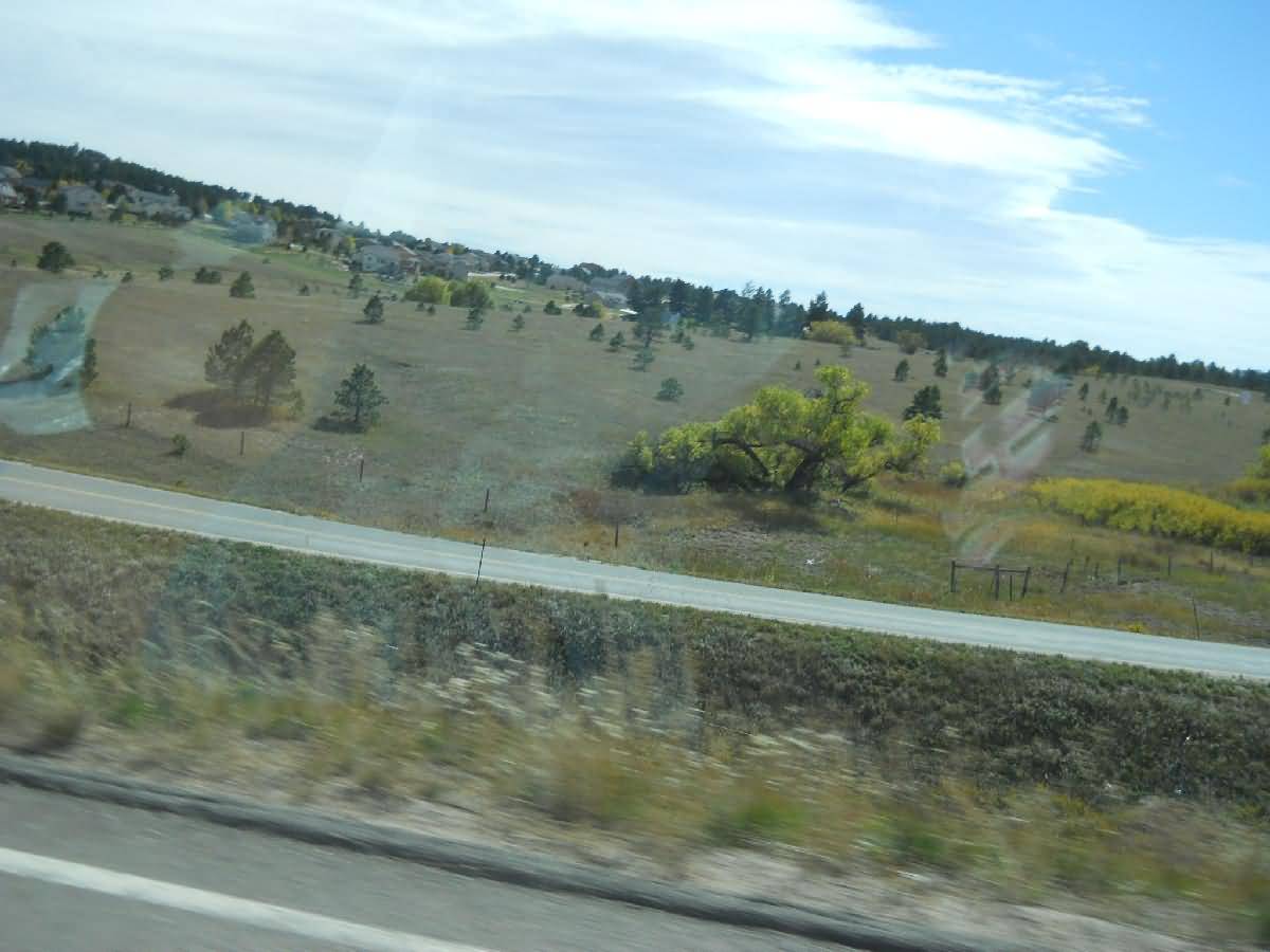 Colorado - La Junta - Deer Country