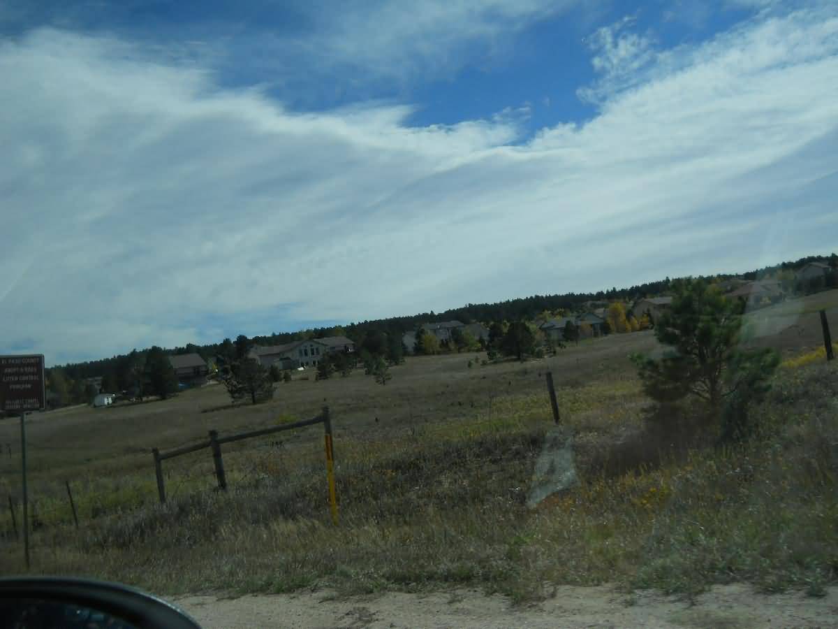 Colorado - La Junta - Deer Country