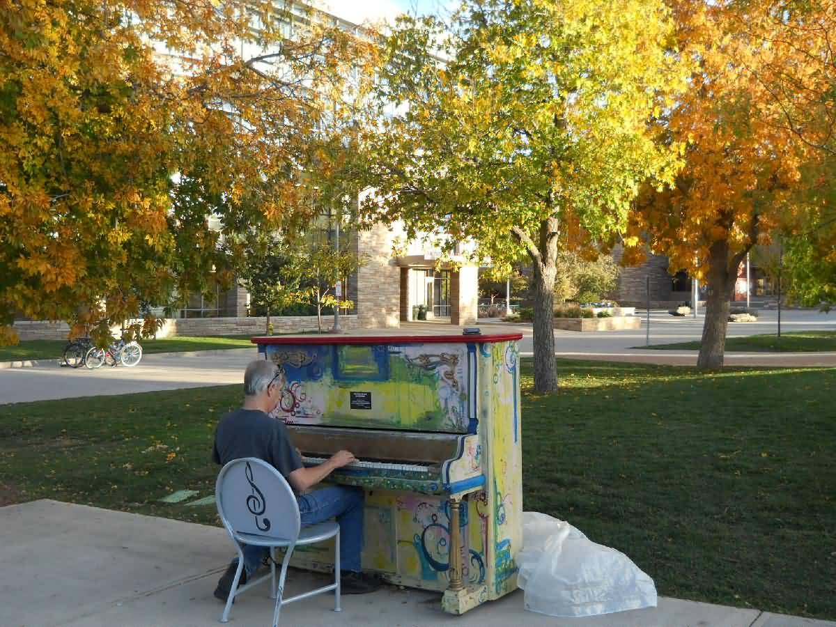 Colorado - Ft. Collins