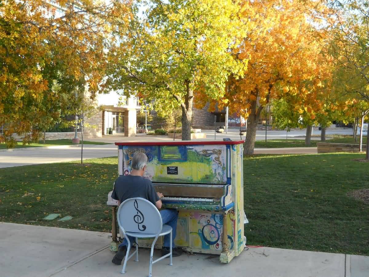 Colorado - Ft. Collins