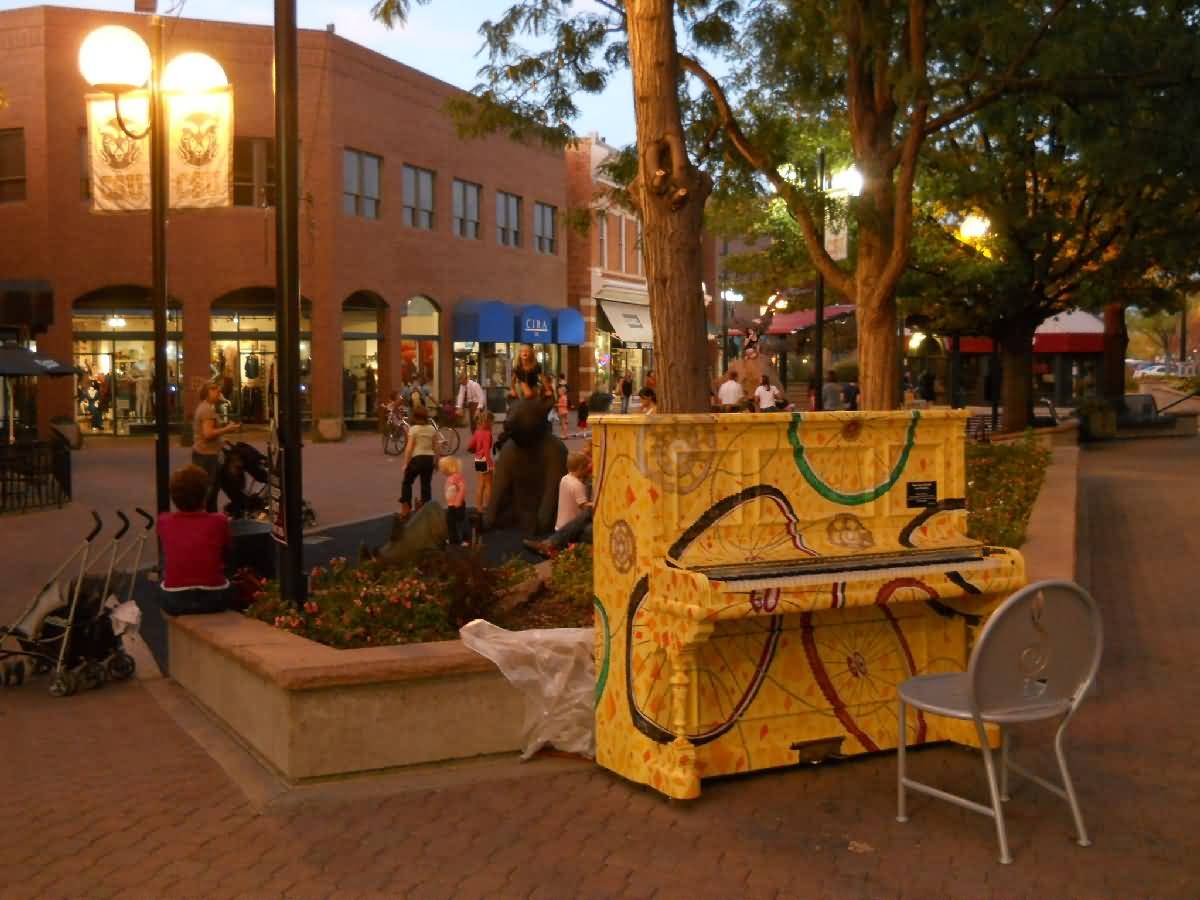 Colorado - Ft. Collins