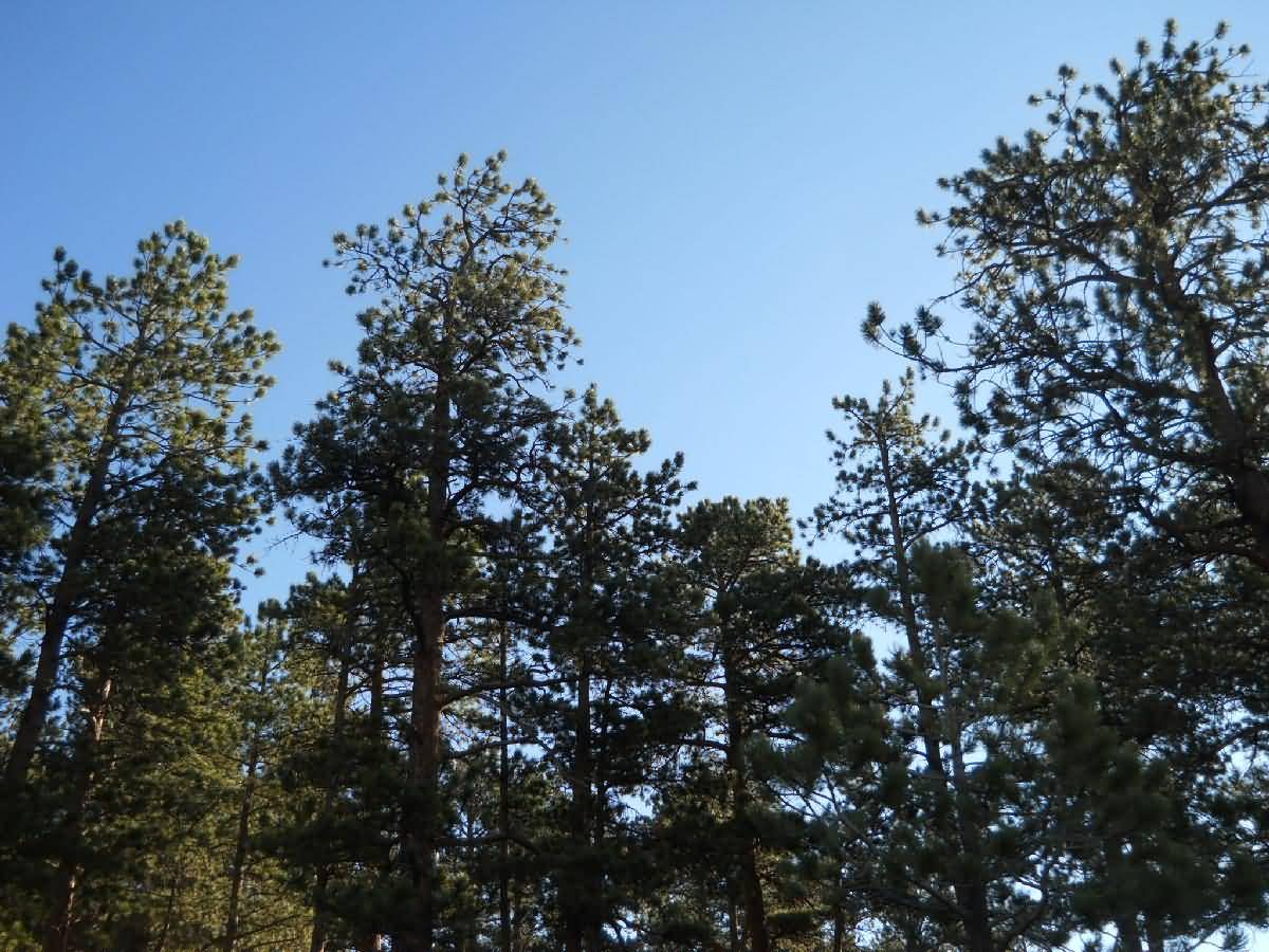 Colorado - Estes Park, Rocky Mtn National Park
