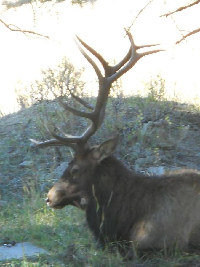 Colorado - Estes Park, Rocky Mtn National Park