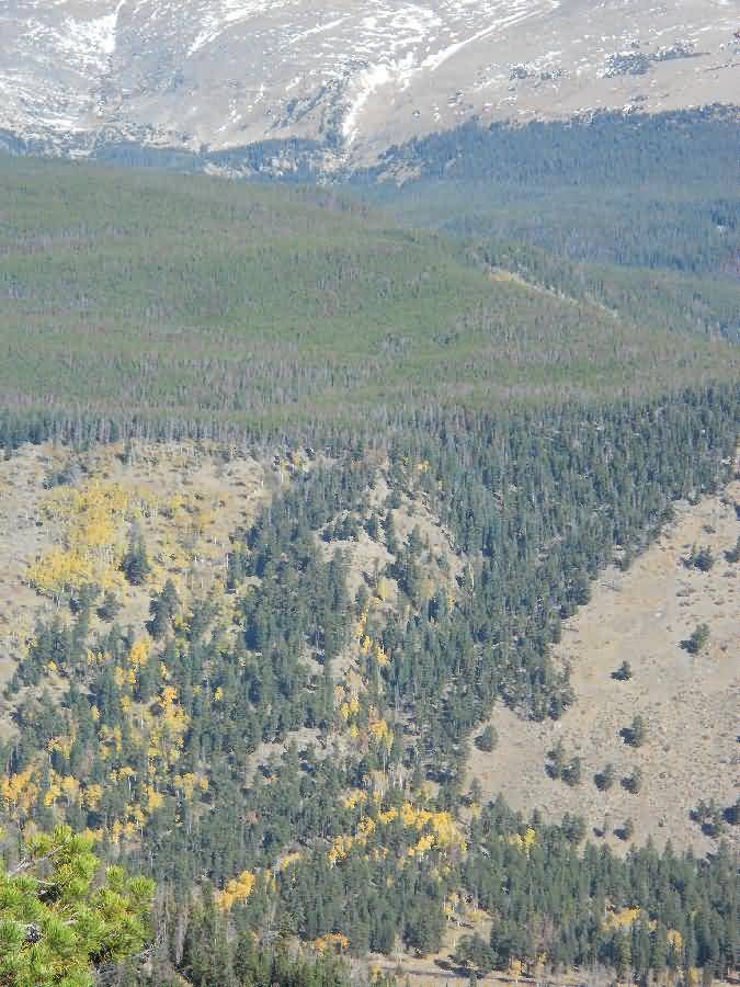 Colorado - Estes Park, Rocky Mtn National Park