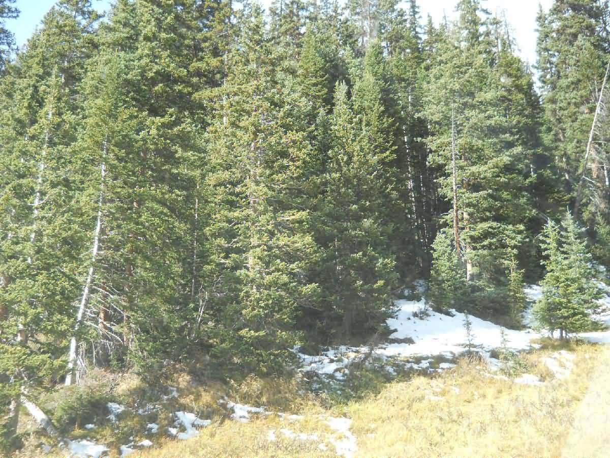 Colorado - Estes Park, Rocky Mtn National Park