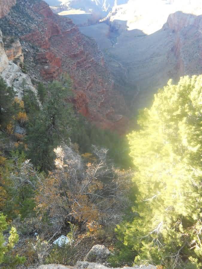 Arizona - Grand Canyon