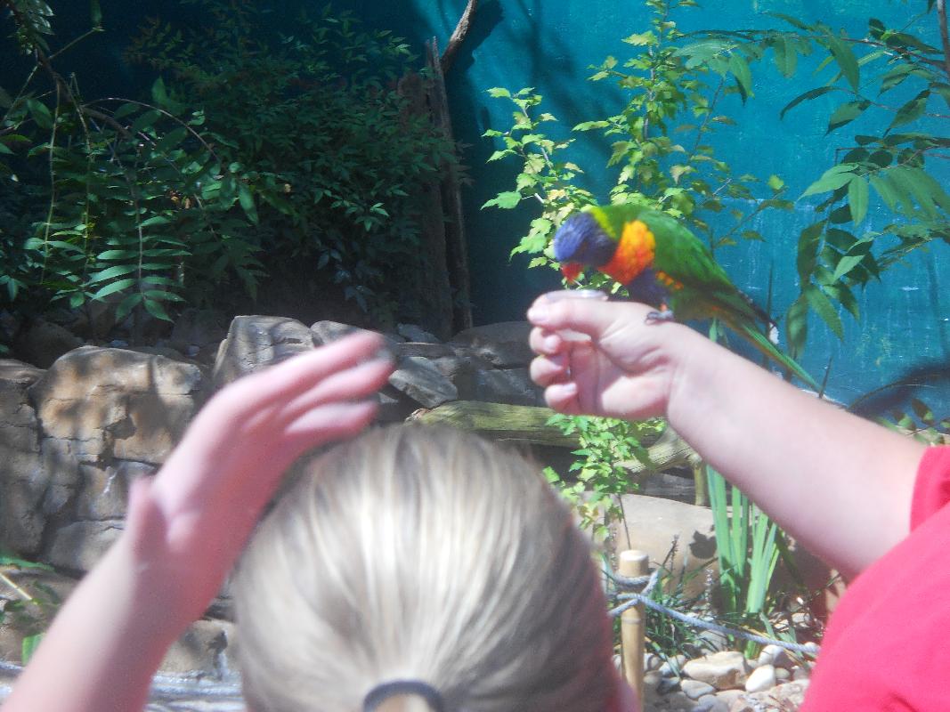 Louisville Zoo