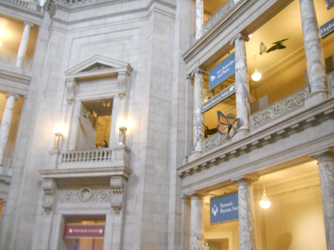 Smithsonian Museum of Natural History