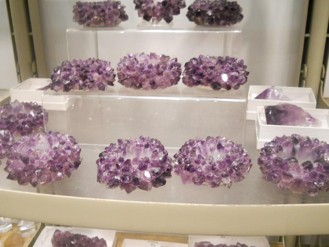 Smithsonian Museum of Natural History