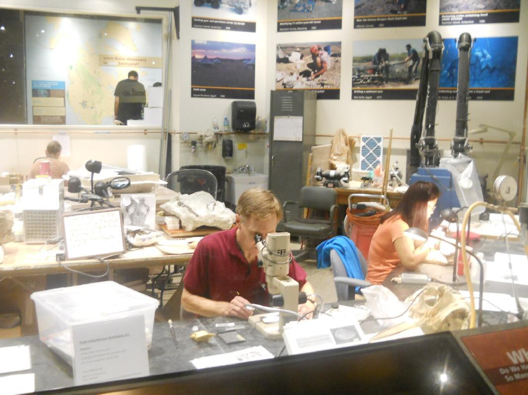 Ron Paul's Connundrum - Researchers doing it just to get the grant cash...