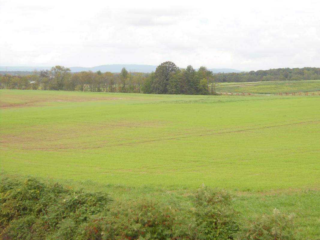 Looking down to area around McPherson Barn - 7,000 Confederates were gathered here