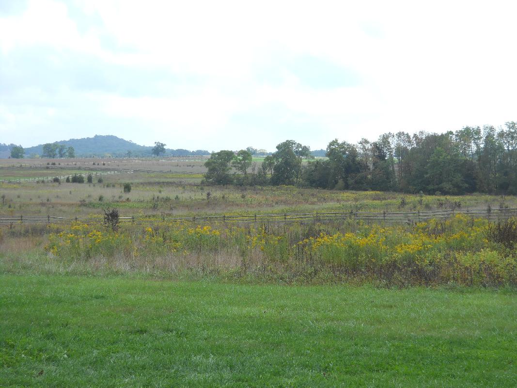 At Seminary Ridge - Scene of Pickett's Charge
