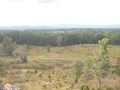 At Little Round Top 