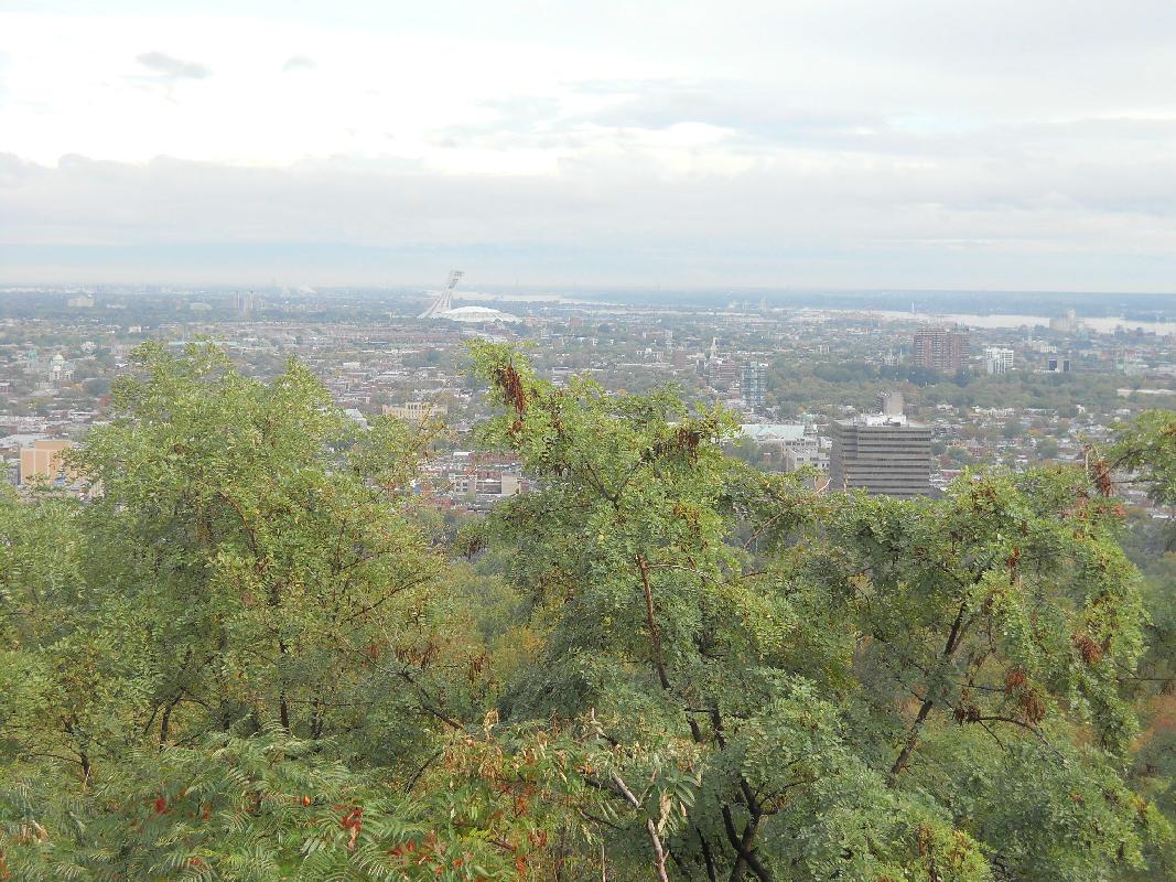 Montreal - Looking North From Mont Royal
