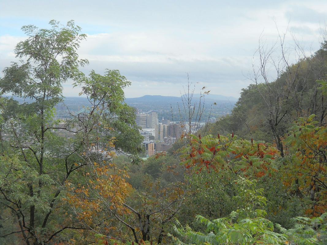Montreal - Looking North From Mont Royal