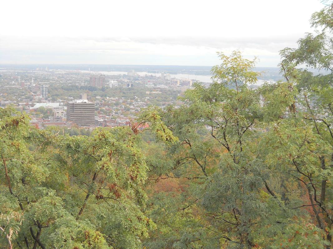 Montreal - Looking North From Mont Royal