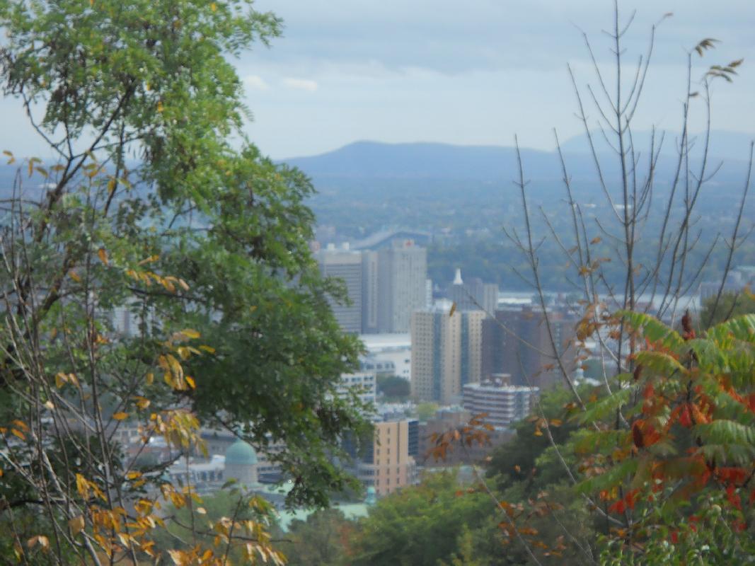 Montreal - Looking North From Mont Royal