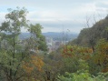 Montreal - Looking North From Mont Royal