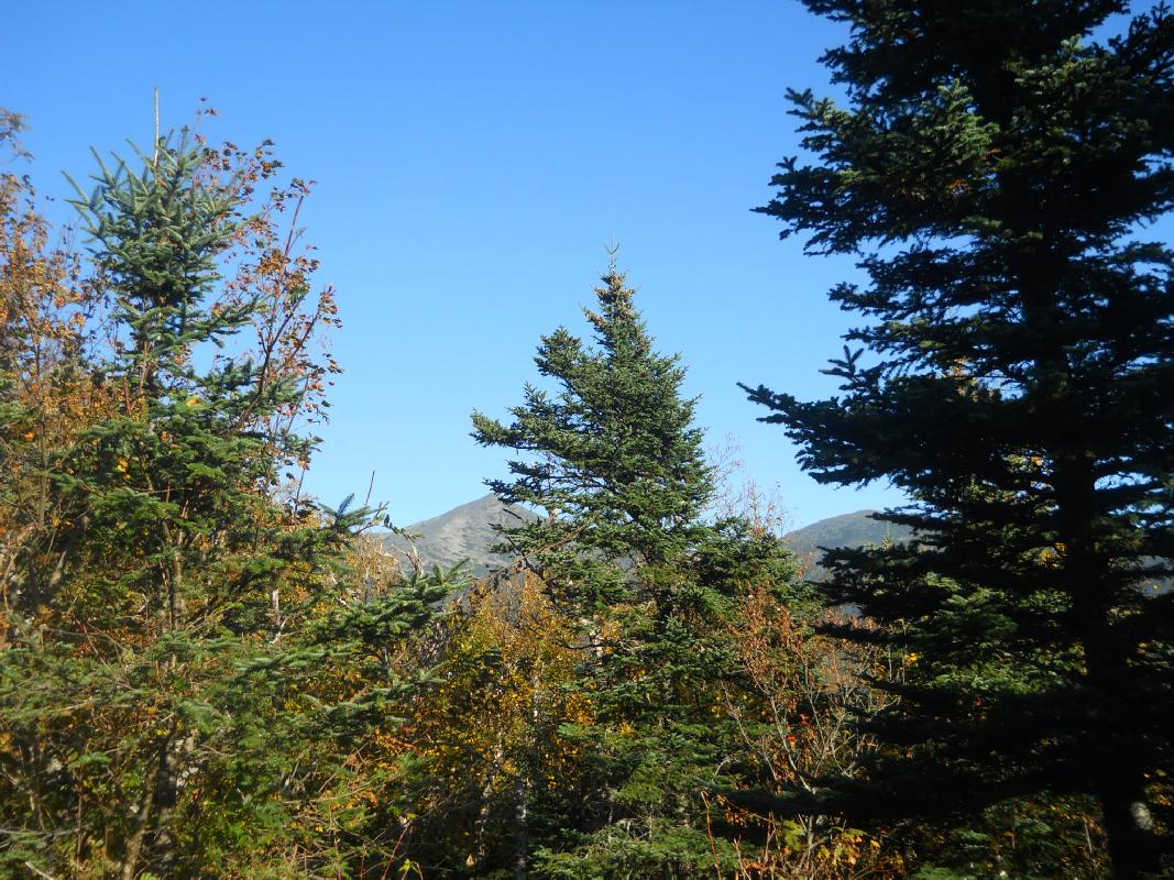 New Hampshire - Mt. Washington