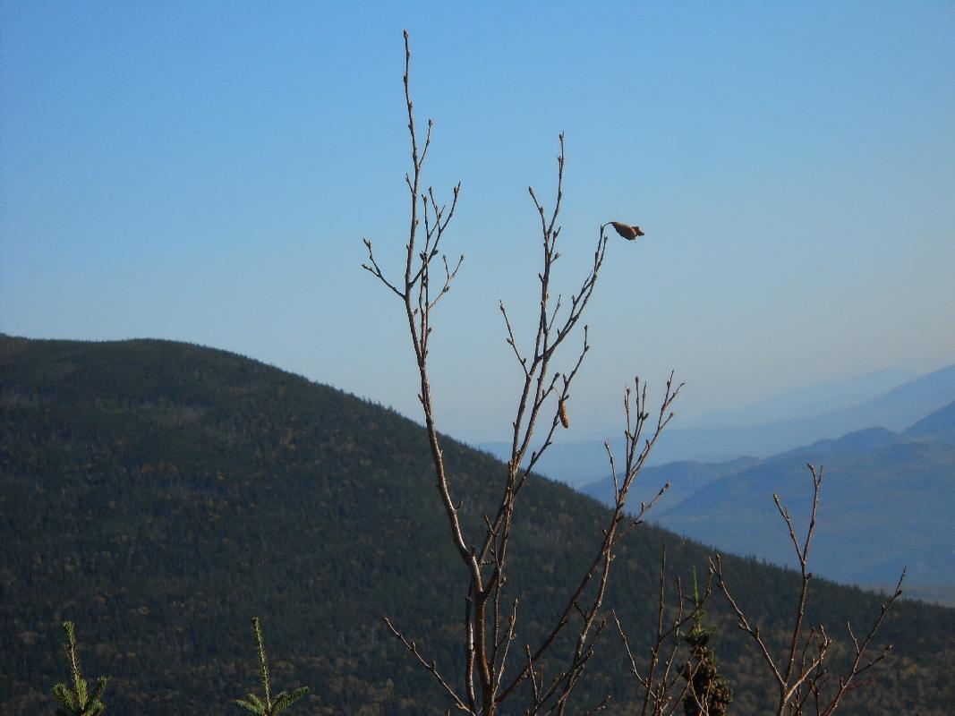 New Hampshire - Mt. Washington
