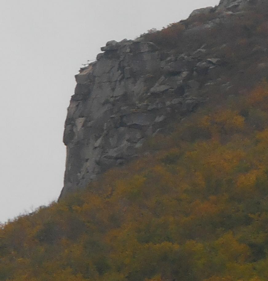 I don't see it - do you?